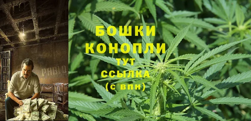 mega рабочий сайт  Белый  Бошки марихуана White Widow 